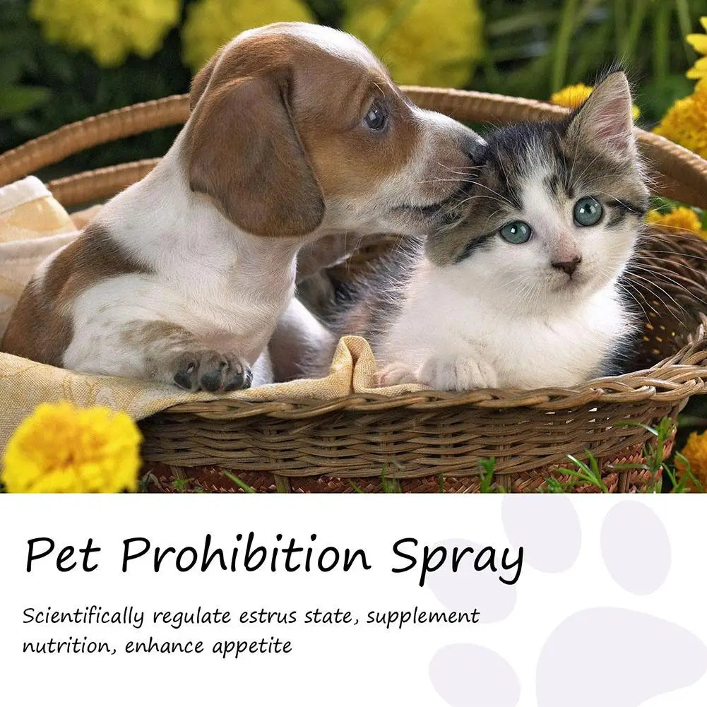50ml Pet Calming Spray Prevent Howling Reduce Anxiety Soothe Mood Pet Dog Cat Estrus Calming Prohibition Spray Pet Supplies