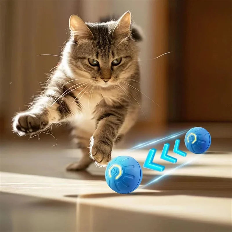 FurrySpark Kinetic Play Sphere – Smart Motion Ball for Puppies & Kittens