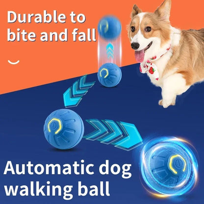 FurrySpark Kinetic Play Sphere – Smart Motion Ball for Puppies & Kittens